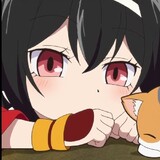 shizhiboshilogic