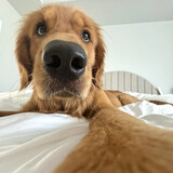 meitianjianjiaoyixia