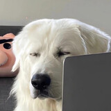 wuaibagui