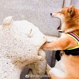 songshuo