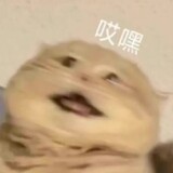 dawonnation_02_01