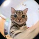 creator avatar