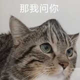 xilewuxiaoxi