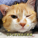 Xiaojushuofuna