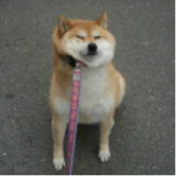 chaaimu