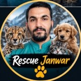 Rescue journey