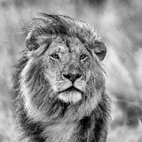 Wildlife moments 1