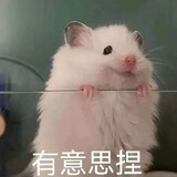 woshinijiagui