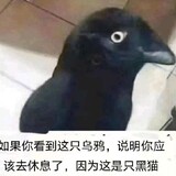 wozhongyiniya__