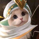 cat khalid