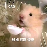 taitai_ee_fanfan_