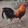 John Rey_9769