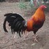 John Rey_9769