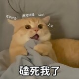 fengchuijingyan