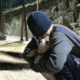 shiqizheng-