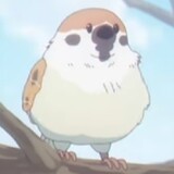 diyuechu