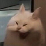 heshuideju