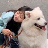 -luoqixixi-
