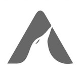 artttsee