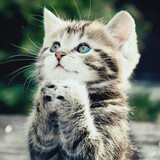bierenyoudi_____g