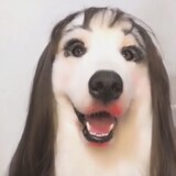 nandexiang01