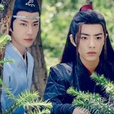 xuyaoyanglaodetuanzi