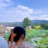 yoxiaojiejieyo