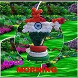 Rahamat Khan_7894