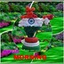Rahamat Khan_7894