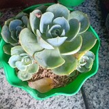 bili_1871601939