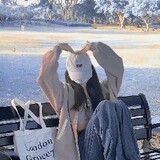 ailurophile_z_