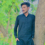 Zohaib Malik 786