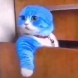 woyaozuoyizhikuailedeshadiao