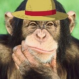 the_real_monkey.d.luffy