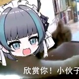 ilzhiyuanli