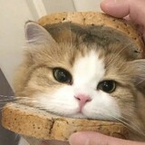 ___memeyaxiaojuchang