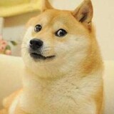 wanyouxidedoge