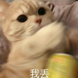 mufeiyu