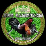 Boss JigsTv