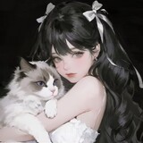 imiaomigongjui