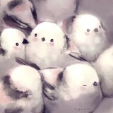 nqqaq