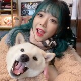 acaichibubao-