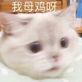 lisiji