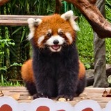 yuukiguoli
