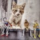 creator avatar