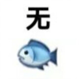 alayaxiaomashu