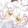 yangfufu_lucky