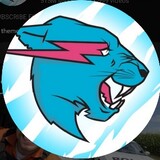 Mr beast fan clips