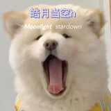 Stardown_