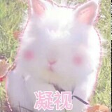 ssr___ong